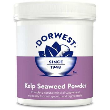Dorwest  Kelp Seaweed -Proszek z wodorostów 250 g