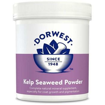 Dorwest - Seaweed Kelp - proszek - 250 g